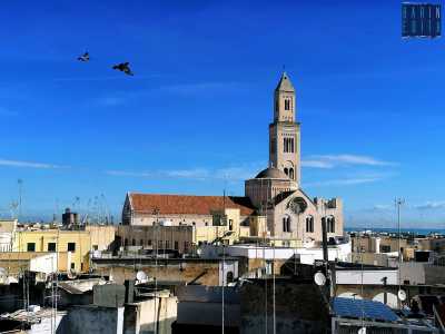 ...la Cattedrale di San Sabino...